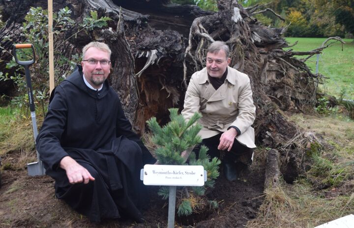 3. Parkpflegeseminar Wechselburg: Pflanzung Weymouthkiefer durch Robert Clemen (Stiftungsdirektor LaNU) und Frater Viktor - Link: Mitmachen, mitgestalten, mitpflegen
