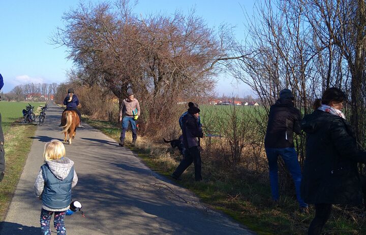 Eine Gruppe Menschen unterschiedlichen Alters bei der Baumpflege.
