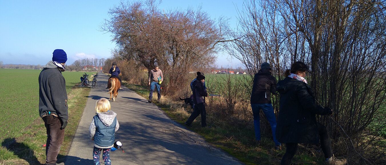 Baumpflegemaßnahmen an der Pflaumenallee