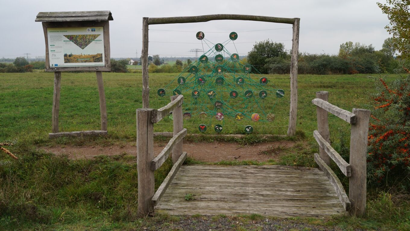 Zu sehen sind eine Lehrtafel und ein Mobile für Kinder zur Erläuterung von ökologischen Beziehungen am Lehrpfad Grabschützer See.