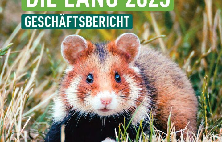 Link: Geschäftsbericht 2025