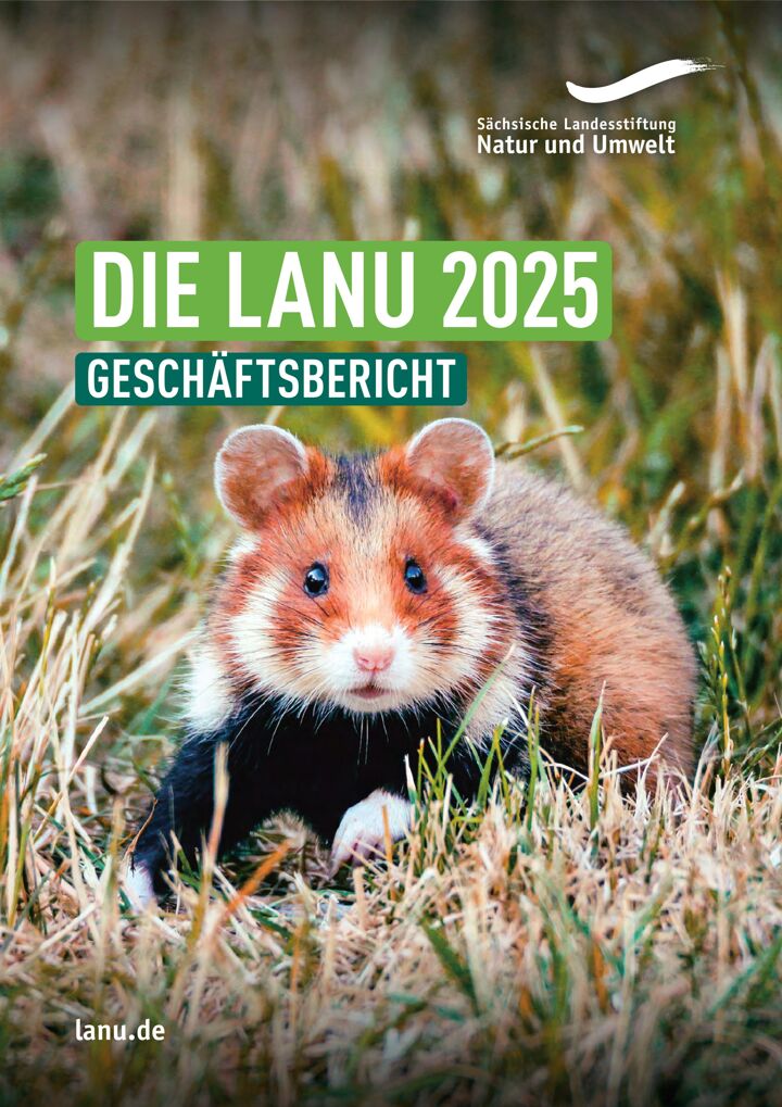 Geschäftsbericht 2025