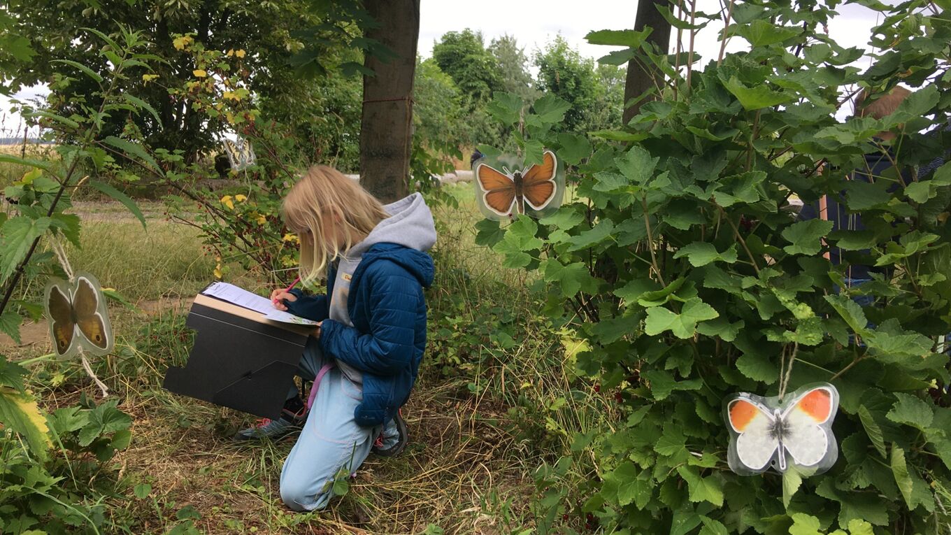 Junge Naturwächter in Aktion