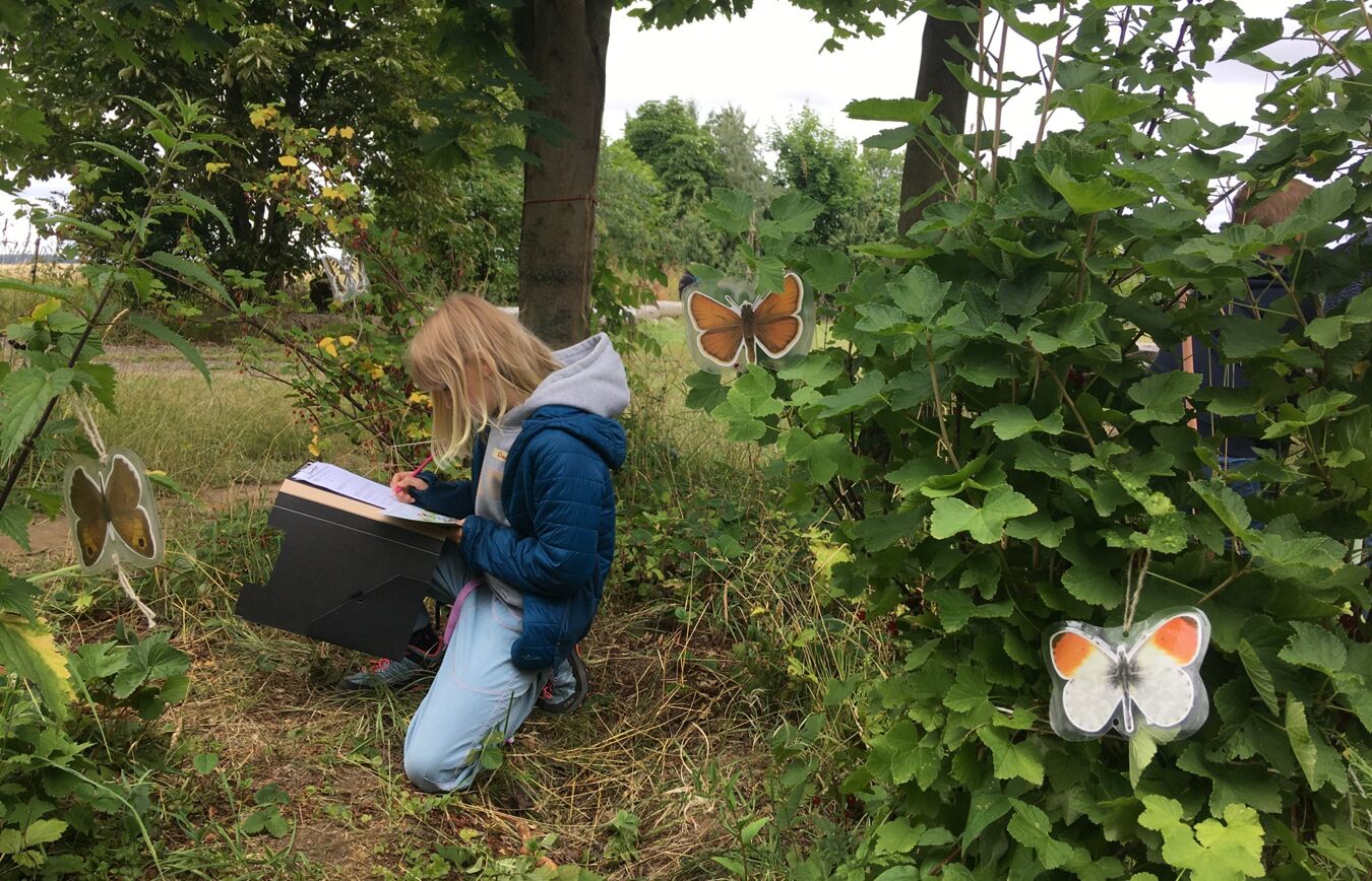Junge Naturwächter in Aktion