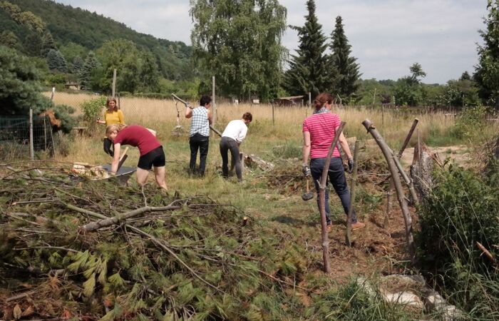 Mehrere Menschen bei einer Maßnahme des praktischen Naturschutz beim Abtransport von Holz.