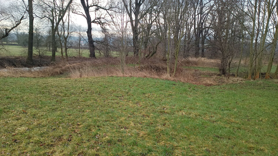 Blick auf die Wesenitz.