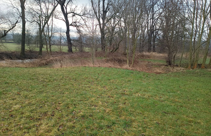Blick auf die Wesenitz in Pratzschwitz.