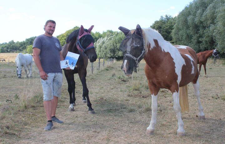 Herr Jetting zeigt sich stolz mit Urkunde und Schwalbenplakette bei seinen Pferden auf der Weide (Foto: Ina Ebert, NABU)