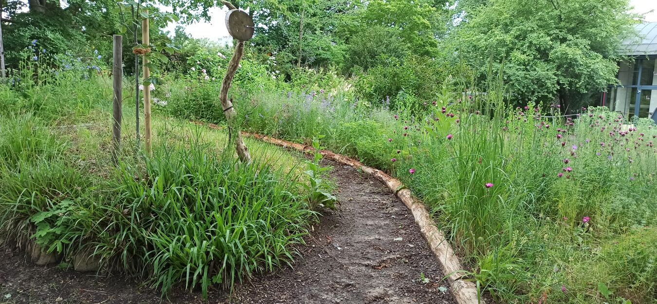 Gartenweg im Botanischen Blindengarten Radeberg