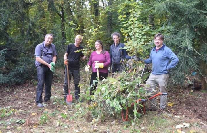 Freiwillige beim Parkpflegeseminar im Schlosspark Wechselburg - Link: Gemeinsam den Schlosspark Wechselburg erhalten   