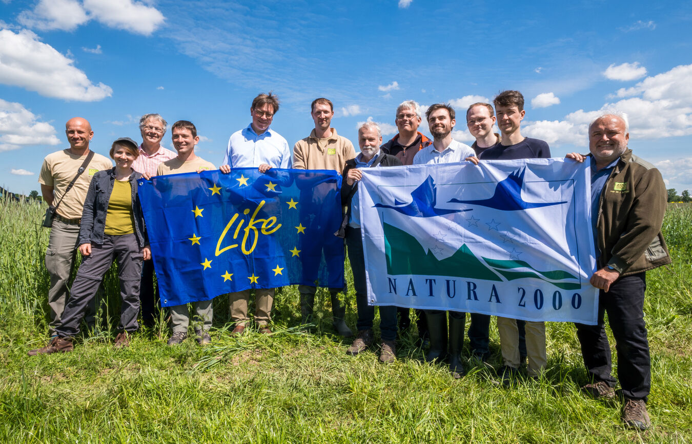 Feldhamsterauswilderung bei Wiedemar Mai 2026, Gruppenbild