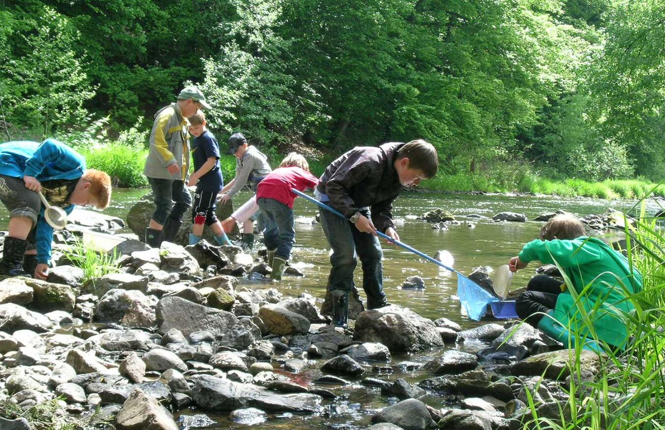 Eine Gruppe Kinder steht auf Steinen in einem seichten Fluss. Einige der Kinder halten Käscher in der Hand oder schöpfen Wasser mit einem Sieb aus dem Fluss.