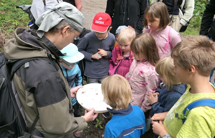 JuNa-Kinder umringen einen Entomologen und schauen auf einen Fangteller mit Insekten - Link: Käferexkursion der Jungen Naturwächter (JuNa) im Zeisigwald Chemnitz