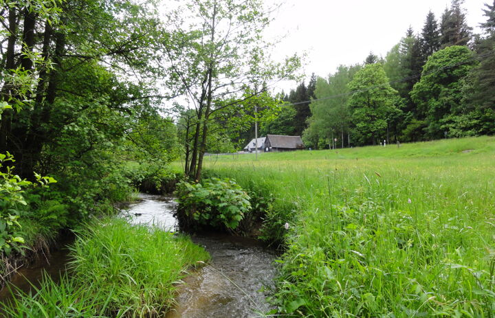 Blick auf die Flussperlmuschelstation Raunerbachtal vom Raunerbach aus