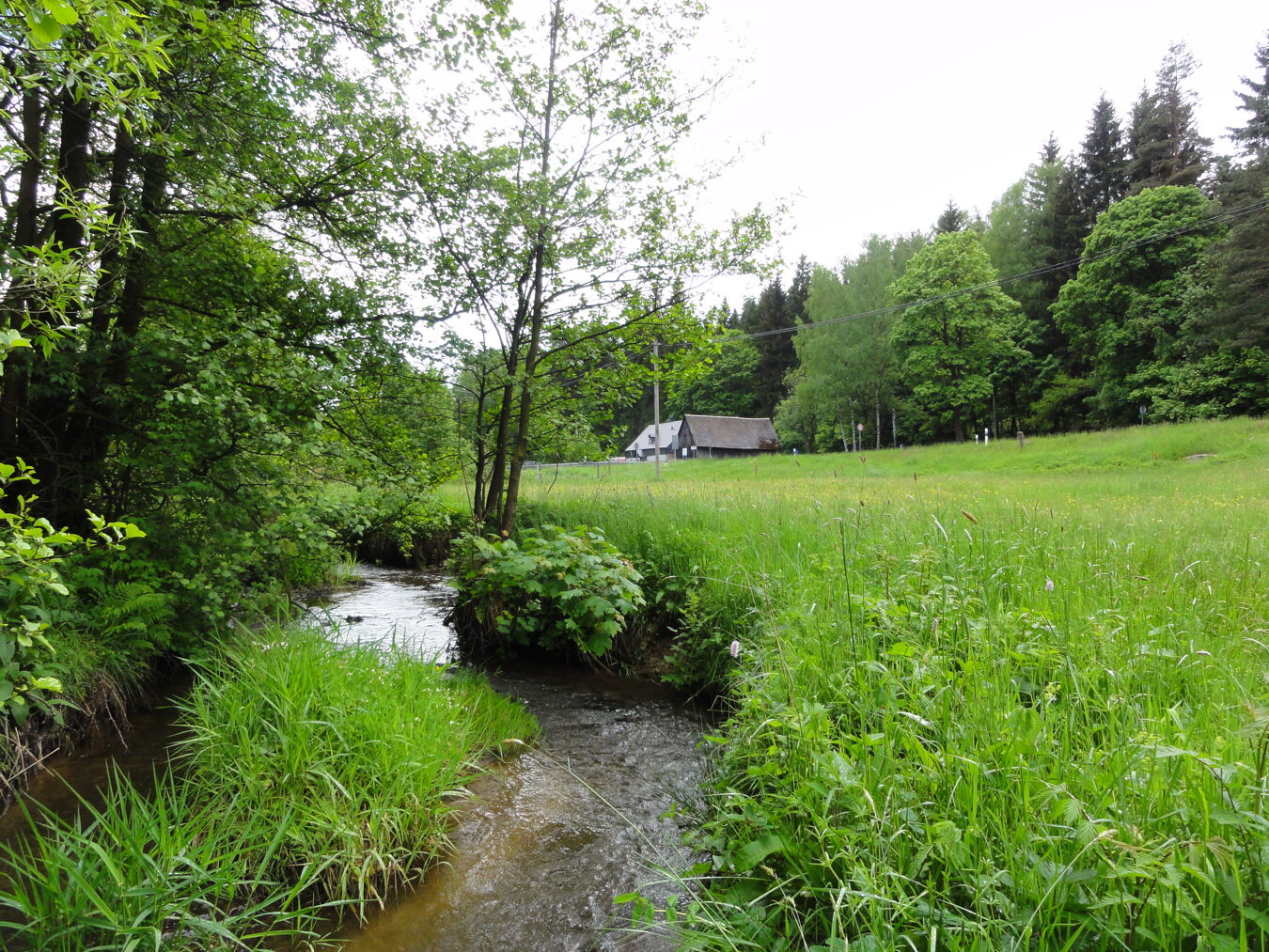 Blick auf die Zuchtstation 2