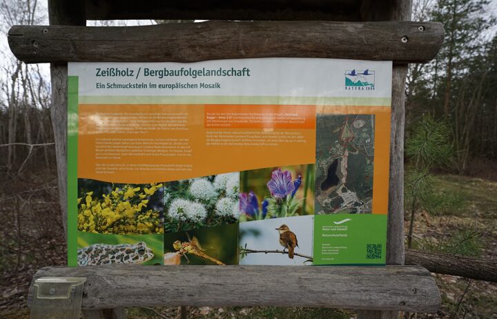 Eine Informationstafel zur Bergbaufolgelandschaft Zeissholz. Darauf abgebildet eine Karte zur Orientierung, sowie verschiedene im Gebiet vorkommende Tier- und Pflanzenarten.