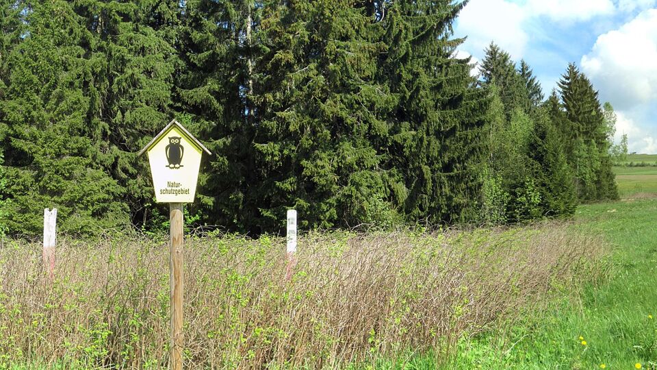 Eine Wiese am Waldrand. Davor ein gelbes Schild mit schwarzer Eule mit der Aufschrift Naturschutzgebiet.
