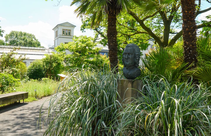 Hauptgebäude und Linné-Büste im Botanischen Garten der Universität Leipzig,
Foto: Botanischer Garten der Universität Leipzig