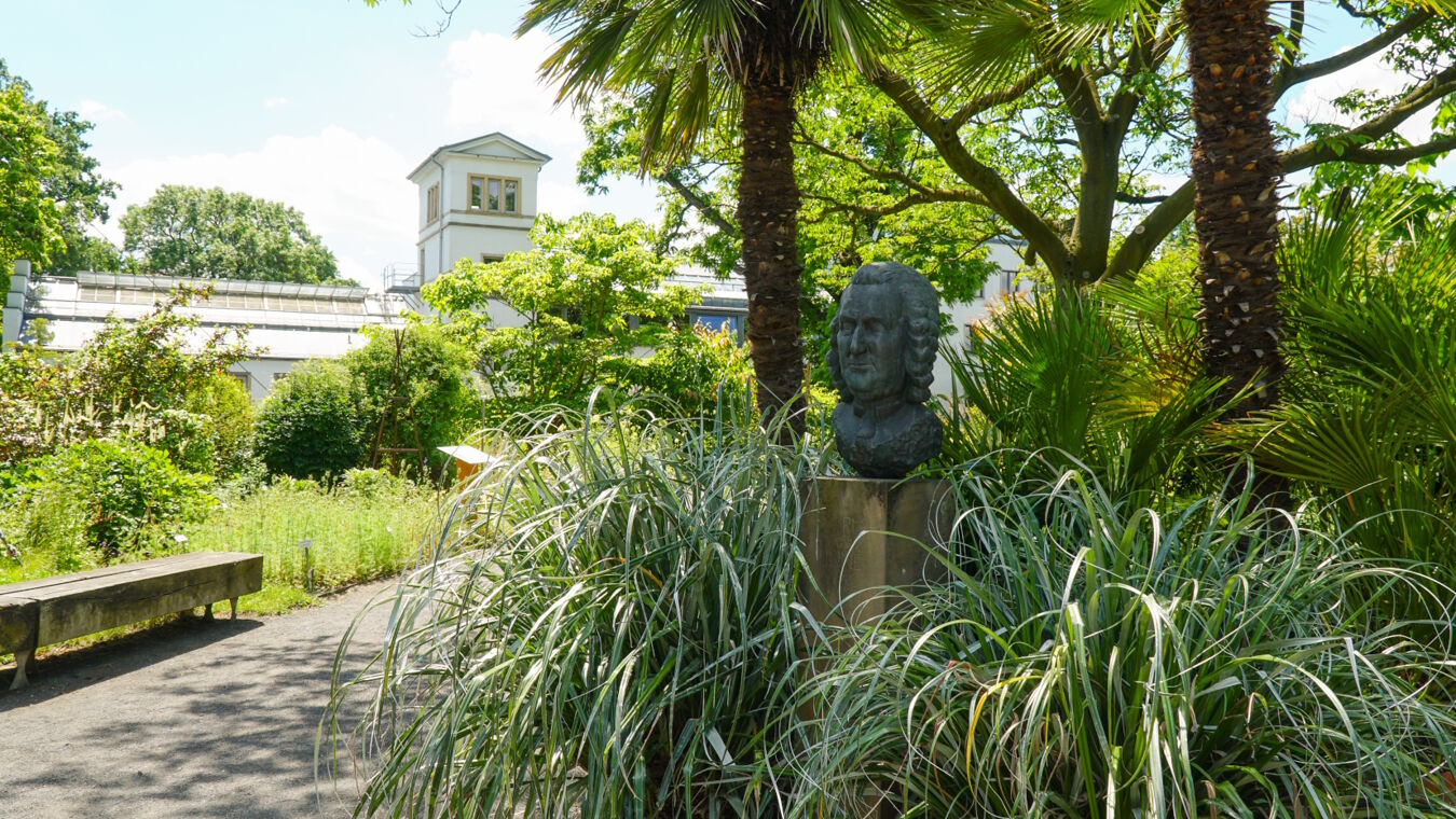 Hauptgebäude und Linné-Büste Botanischer Garten der Universität Leipzig