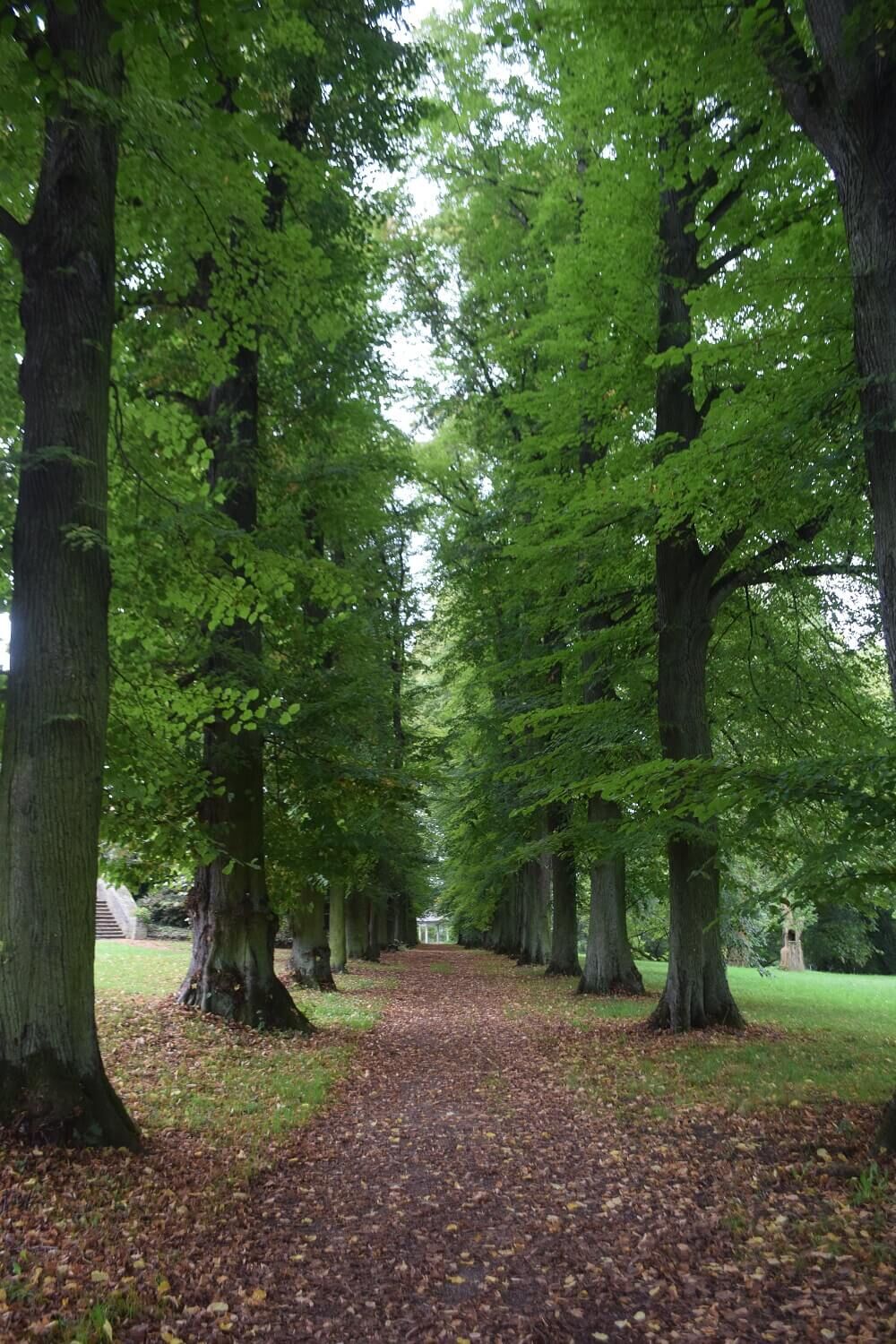 Allee Wechselburg