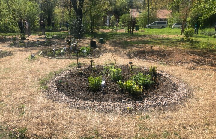 Blick auf neue angelegte Beete im Entdeckerland Botanis