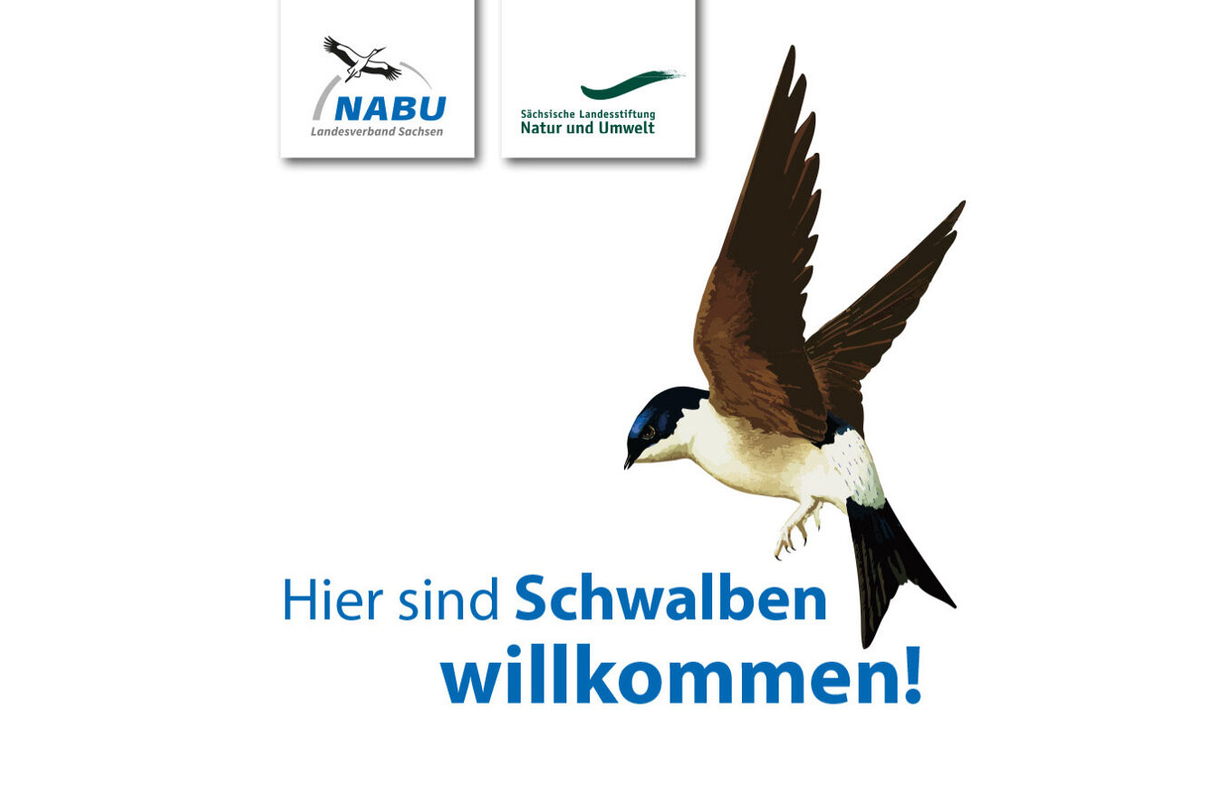 Plakette „Schwalben willkommen“