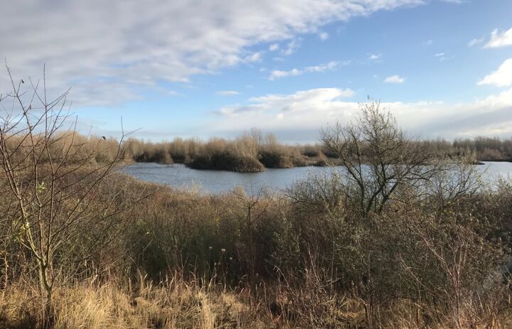 Link: Ausschreibung eines Rahmenvertrages im Naturschutzgebiet „Werbeliner See“