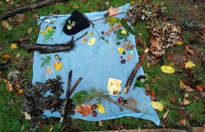 Link: Praxisseminar Naturpädagogik