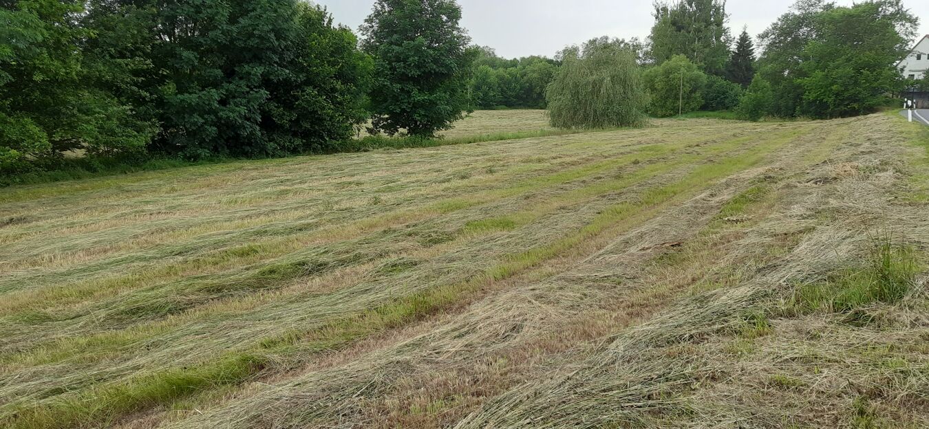 Mahd Pratzschwitz