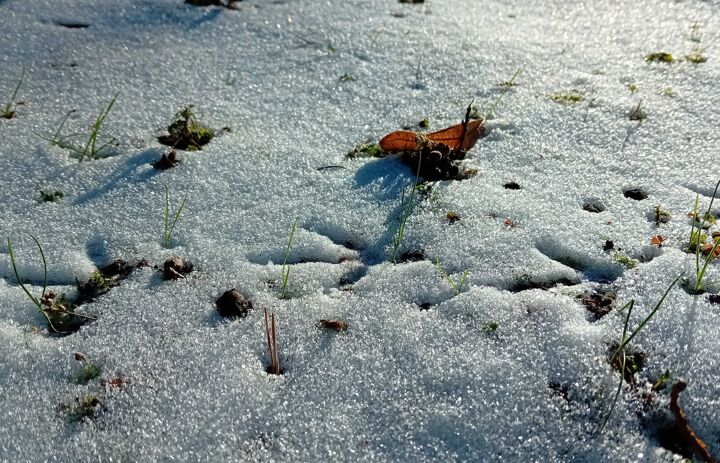 Link: Waldpädagogik im Winter