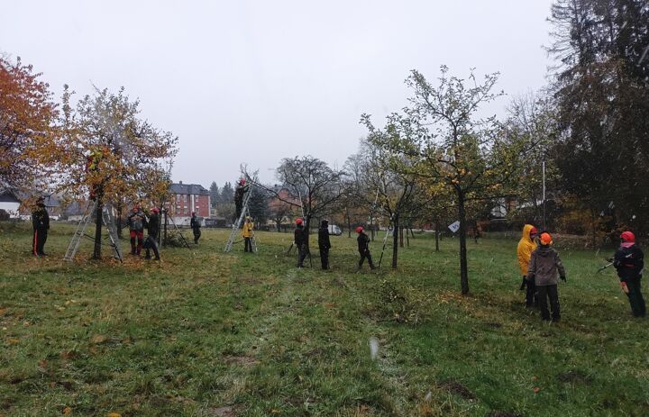 Link: Ausgebildet für den Artenschutz: Obstbaumpfleger stärken Sachsens Naturerbe