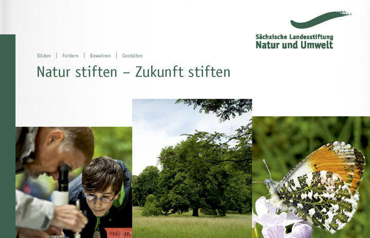 Link: Natur stiften - Zukunft stiften