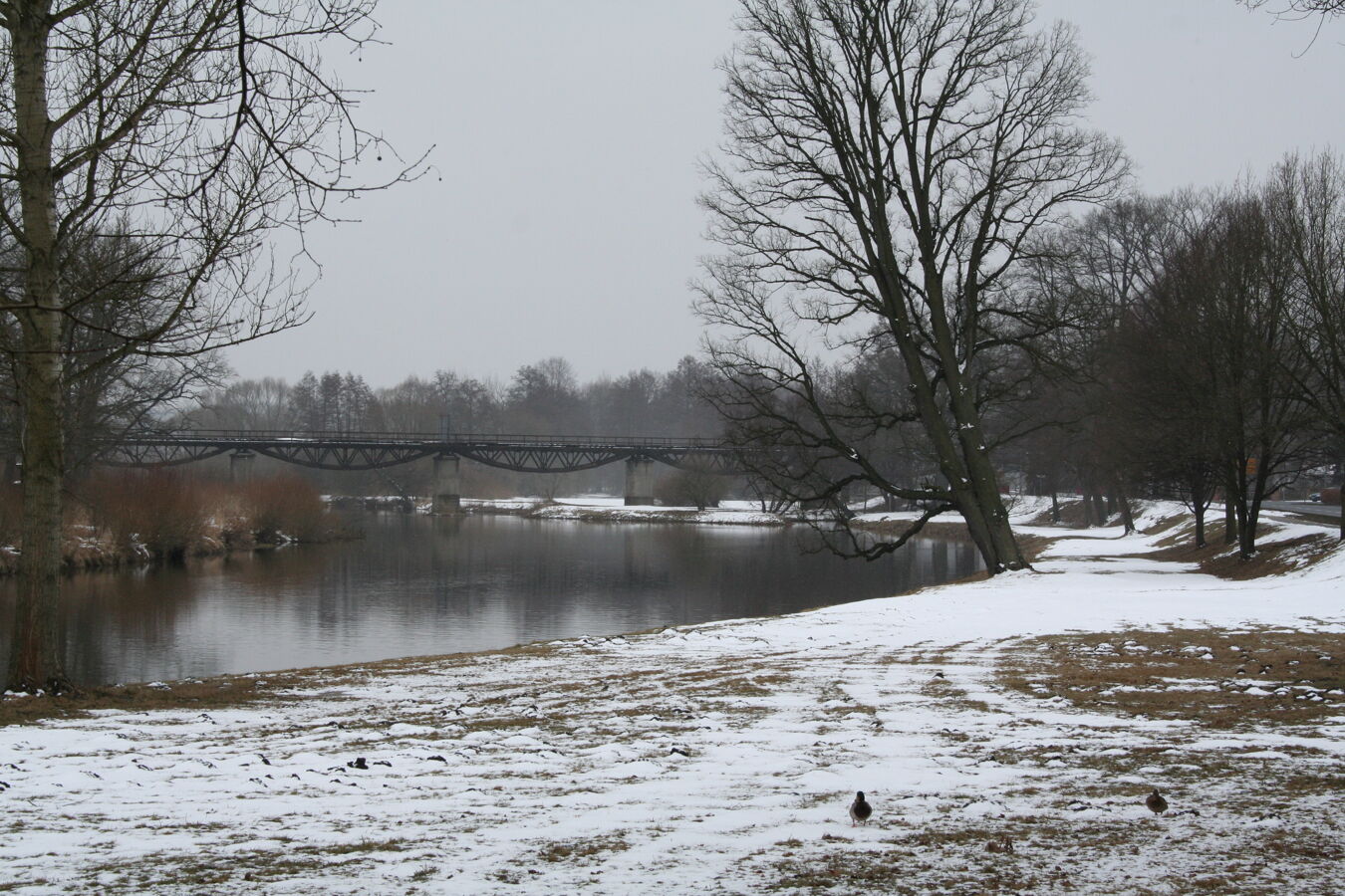 Neißewiese Bad Muskau im Winter