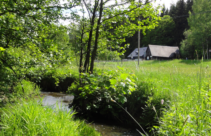 Blick auf die Flussperlmuschelzuchtstation Raunerbachtal vom Raunerbach aus