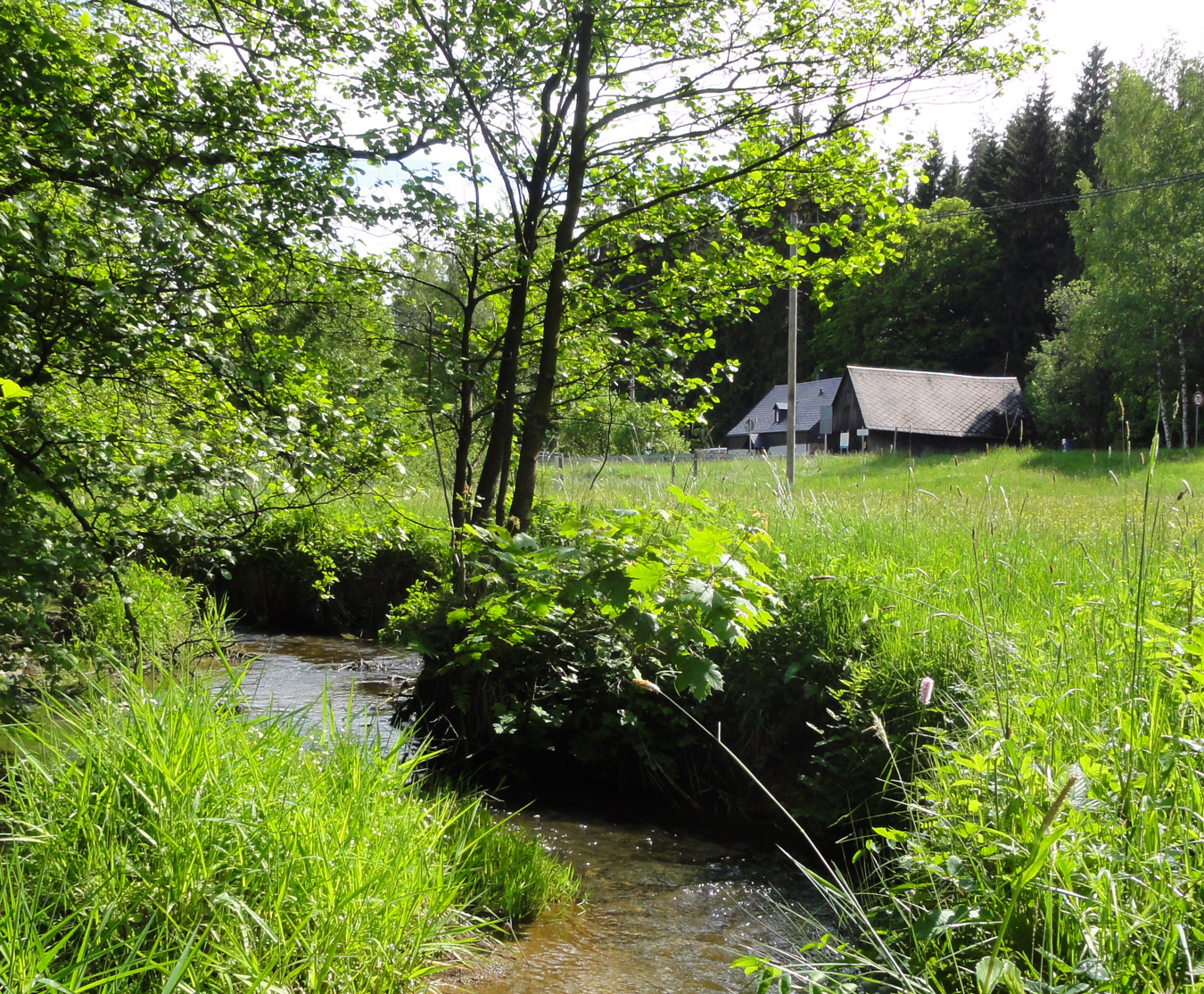Blick auf die Zuchtstation Raunerbachtal 1