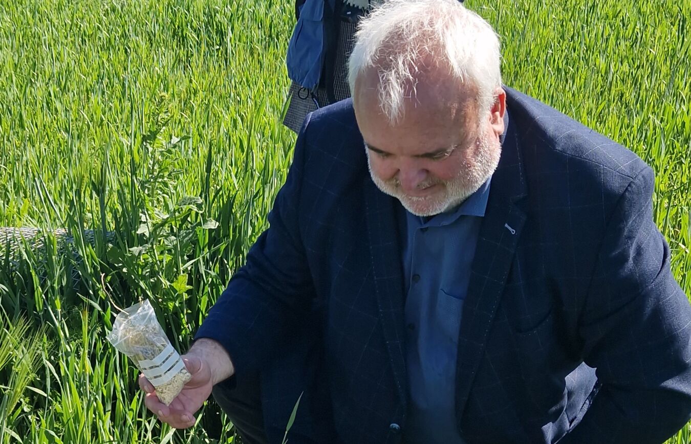 Zoodirektor Prof Jörg Junhold wildert einen Feldhamster aus