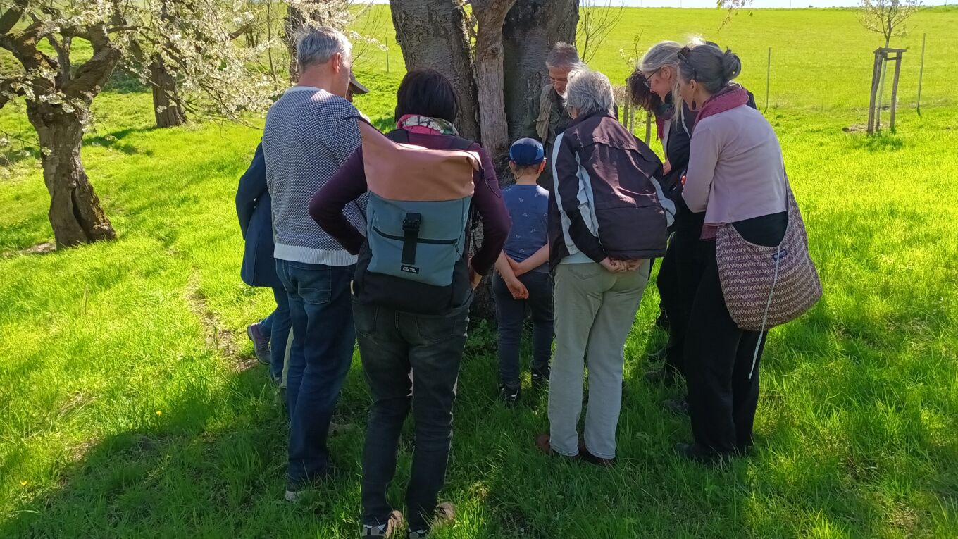 Eine Gruppe interessierter Teilnehmender steht vor einem Obstbaum um Dr. Lorenz, der Wissenswertes zu Insekten der Streuobstwiese erzählt