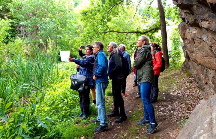Foto: Fotografie Grimma - Link: Auf den Spuren der Steine