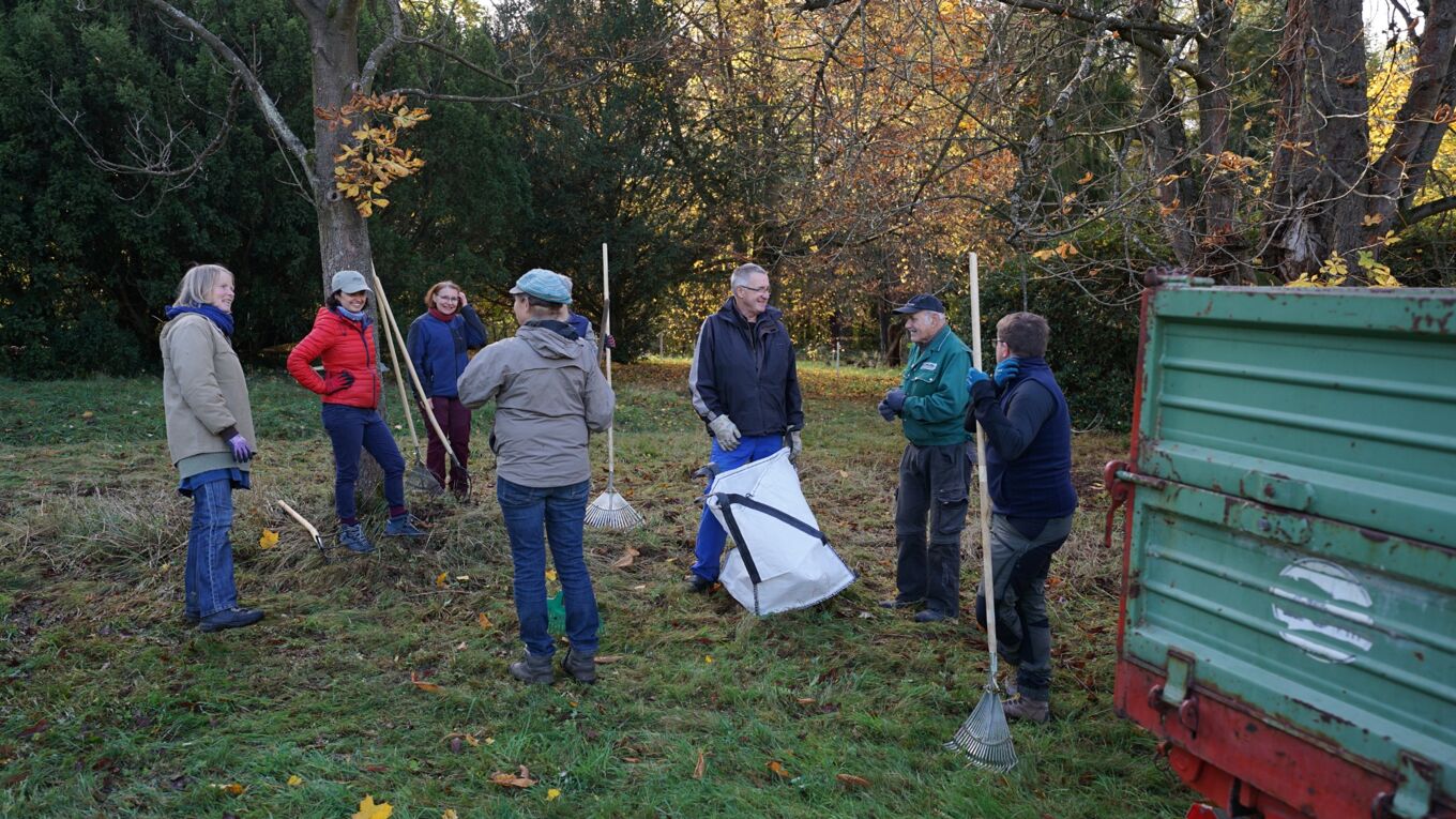 Anpacken beim Wechselburger Parkpflegeseminar