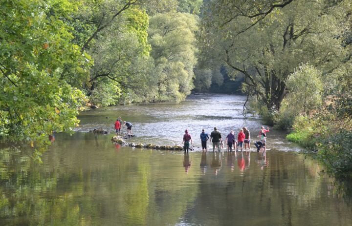 Schüler stehen im flachen Wasser eines Flusses - Link: Mit gutem Gewässer!