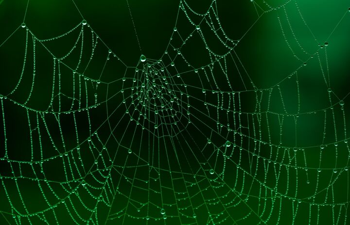 Spinnennetz mit Tropfen (Foto Pixabay, Kai Reschke) - Link: Lokale Agenden 21 in Sachsen