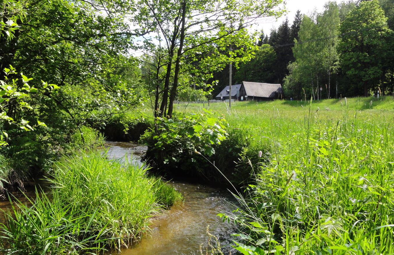 Raunerbach mit Wiese