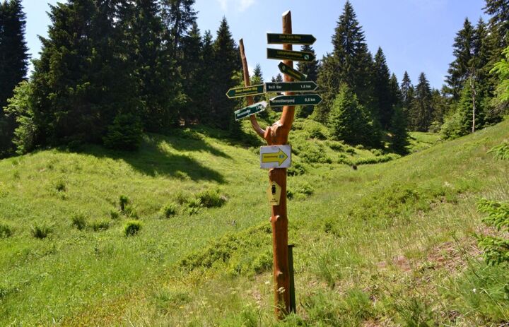 Wanderwegweiser im Erzgebirge - Link: Zweckverband Naturpark "Erzgebirge/Vogtland"