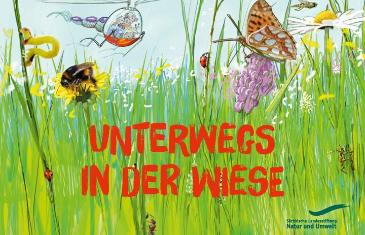 Link: Unterwegs in der Wiese