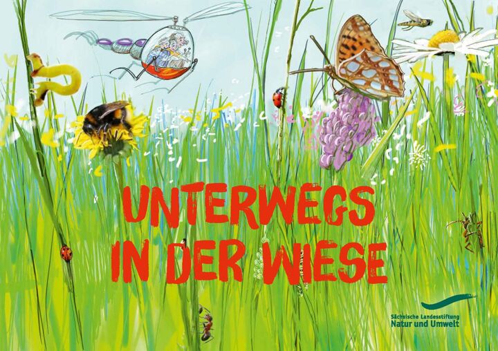 Unterwegs in der Wiese
