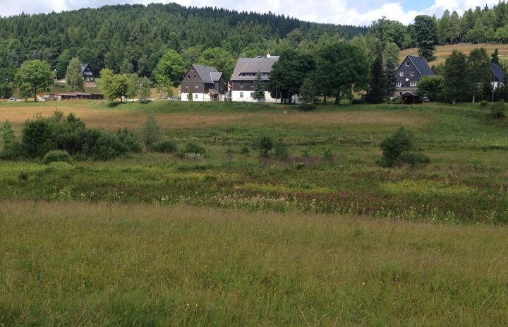 Blick auf die LaNU-eigenen Bergwiesen Rehefeld