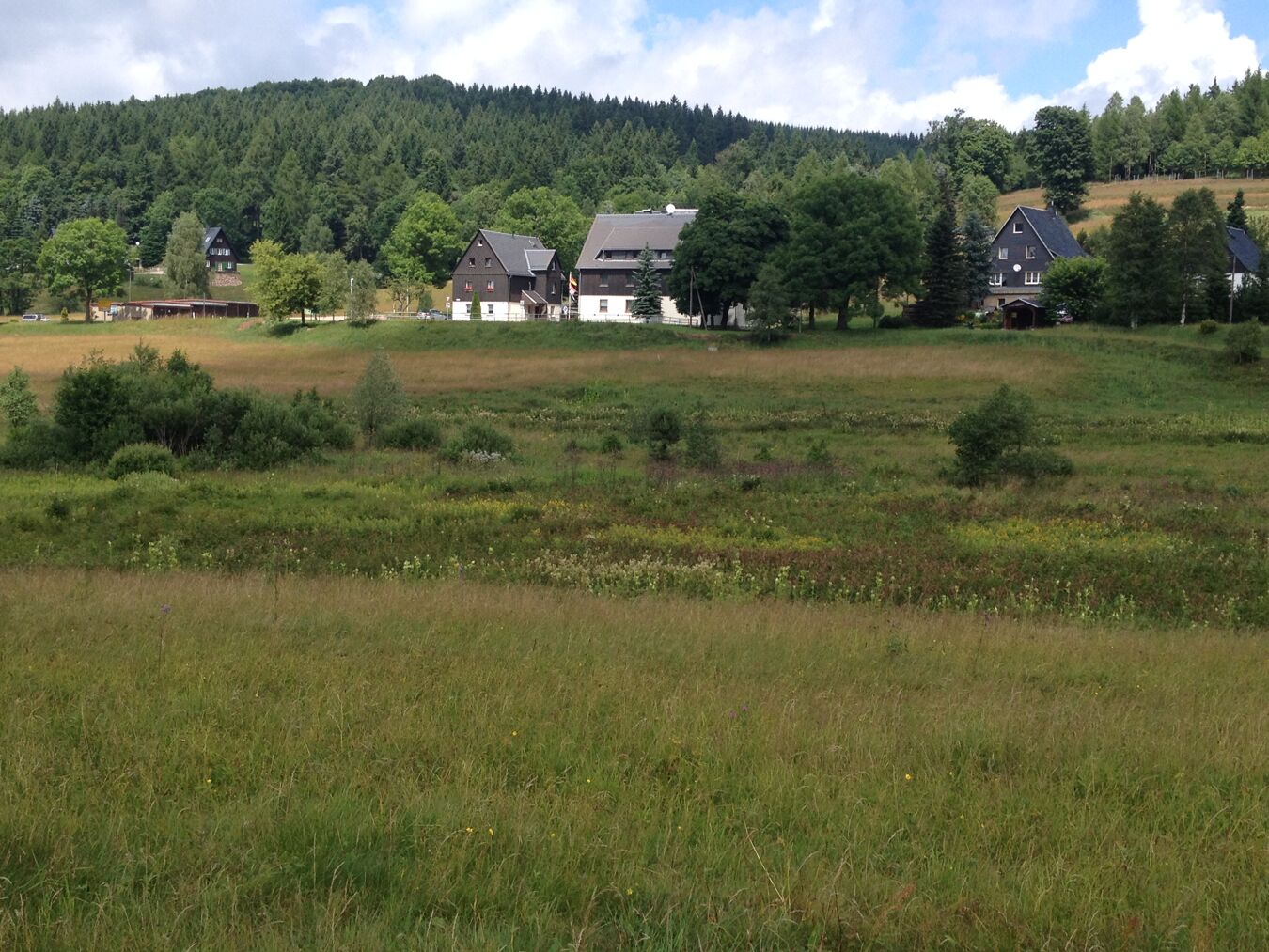 Bergwiesen Rehefeld 2