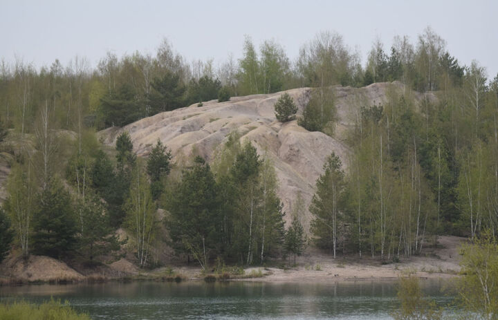 Halde am See Bockwitz.