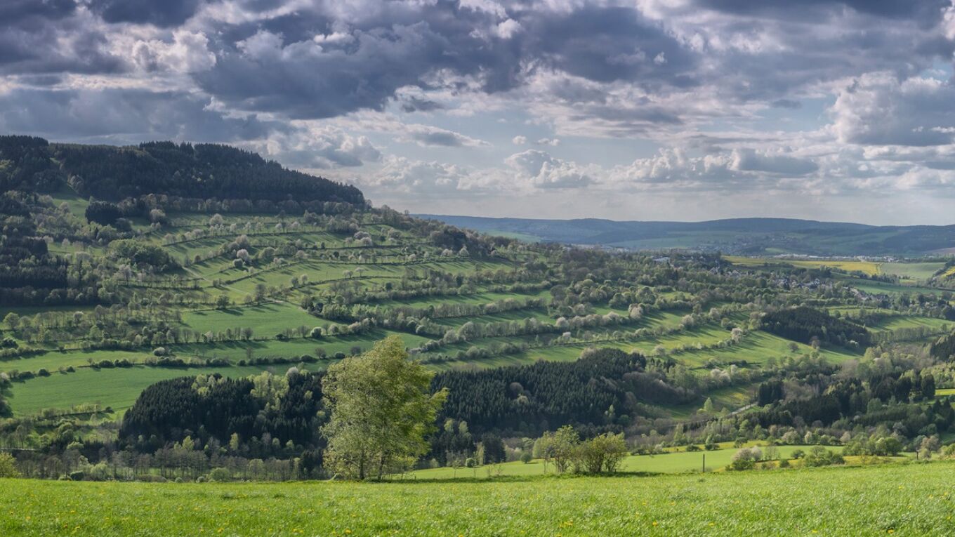Dass Bild zeigt einen Ausschnitt aus der Landschaft des Mittleren Erzgebirges.
