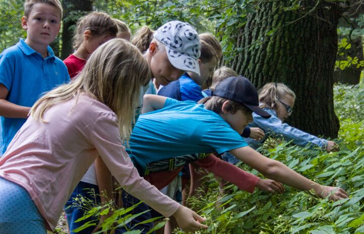 Kinder entdecken und erkunden den Naturlehrpfad